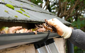gutter cleaning Old Coppice, Shropshire
